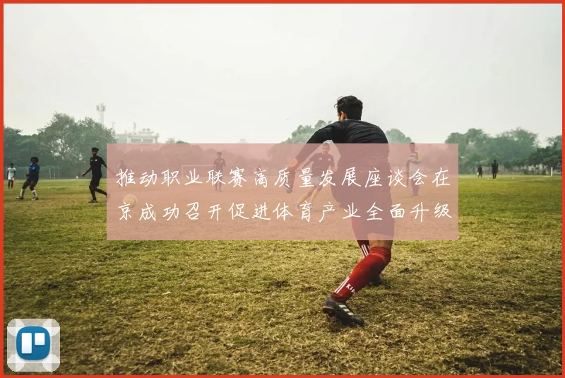 推动职业联赛高质量发展座谈会在京成功召开促进体育产业全面升级与创新发展