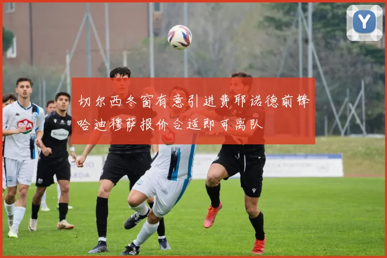 切尔西冬窗有意引进费耶诺德前锋哈迪穆萨报价合适即可离队
