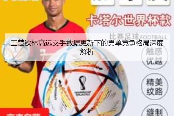 王楚钦林高远交手数据更新下的男单竞争格局深度解析