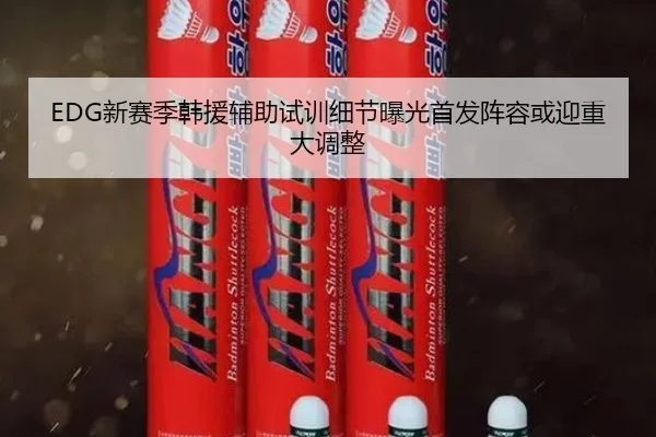 EDG新赛季韩援辅助试训细节曝光首发阵容或迎重大调整